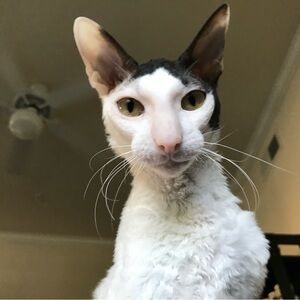 Meet your Posher, Madison